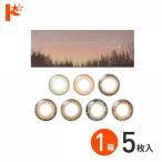 ネオサイトワンデーシエルUV5枚入...