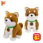パートナーズ こんにちワン！しばいぬコウタ バンダナ付きセット