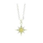 Yahoo! Yahoo!ショッピング(ヤフー ショッピング)メーカー取り寄せ品 アクアシルバー Aqua Silver ASP-379L-BRスターモチーフペンダント トップ ネックレス メンズ レディース シルバー925 ブランド