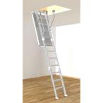 [ одиночный товар распродажа не возможно / корпус одновременно покупка ] большой талон потолок место хранения лестница опция поручень CXTWTS