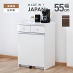 ショッピングダストボックス ダストボックス キッチンカウンター 完成品 幅55cm 2分別用 スリム ゴミ箱付き