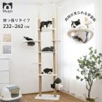 キャットタワー 突っ張り型 丸い透明宇宙船 ハンモック 高さ232-262cm TX00132