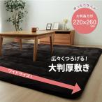 ラグ こたつ布団でごろんと横になりゆっくり過ごしたい方にお勧め、通常よりも30cmほど大きいこたつ布団、ごろんと横になっても体がはみ出にくい大きさ