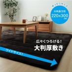 ラグ こたつ敷き布団 長方形大 幅広ラグ大判ドーク カーペット ふっくら ボリューム 防音性 保温性  約220×300cm IKEHIKO
