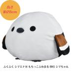 ぬいぐるみ 大きい シマエナガ [ ふくふくシマエナガ もちっこふわまる BIG シマちゃん ] 約28cm 702997 アミュファン 雪の妖精 しまえなが 抱き枕 北海道