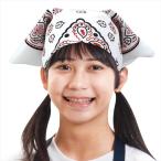 バンダナ三角巾 白 裁縫 家庭科 手芸 学習 キット  アーテック 50577