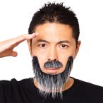 即日出荷 宴会の達人 冒険家のひげ グレー 付け髭 ひげ ヒゲ 髭 宴会 パーティー イベント コスプレグッズ パーティーグッズ  クリアストーン 4560320891727
