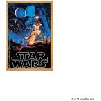 sinema коллекция стикер Star * War z коврик модель смартфон аксессуары PGA PG-DSTK79SW