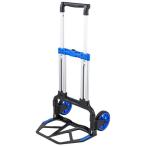 即日出荷 代引不可 折りたたみキャリー (2輪台車) 耐荷重125kg  サンワサプライ CART-FA10BK