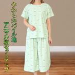 やわらかパイル ルームウェア 上下セット レディース 部屋着 Tシャツ 半袖 クルーネック セットアップ ステテコパンツ ルームパンツ リラックスパンツセット