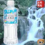 送料無料 四季の恵み 天然水 550mlペットボトル 24本入 軟水 ミネラルウォーター 水 ミツウロコビバレッジ 鉱水 北海道800円・東北400円の別途送料加算