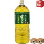 期間限定特価 送料無料 伊藤園 お〜いお茶 濃い茶 2Lペットボトル 12本(6本×2ケース) [おーいお茶 濃いお茶]