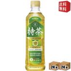 送料無料 サントリー 緑茶 伊右衛門 特茶 500mlPET 48本(24本×2ケース) 特定保健用食品 金の特茶