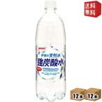 送料無料 【炭酸充填量5.0GV】 サンガリア 伊賀の天然水 強炭酸水 1Lペットボトル 24本(12本×2ケース)