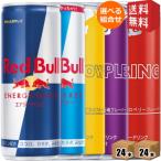 クーポン配布中 送料無料 レッドブル エナジードリンク 250ml缶 48本(24本入×選べる2アイテム) RED BULL ノーマル シュガーフリー