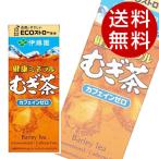 健康ミネラル麦茶 紙パック 250ml 48�