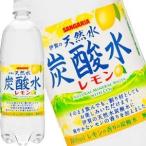 サンガリア 伊賀の天�
