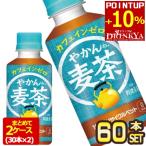 ▲+10%ポイント対象 コ