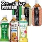 サントリー 伊右衛門 特茶 ぷらすのお茶 350〜500ml PET×24本 × 2ケース 特定保健用食品 賞味期限：4ヶ月以上 送料無料 【4〜5営業日以内に出荷】