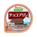 (E0640)やさしくラクケア20kcalチョコプリン/82972→8689260g(cm-279885)[1個]