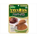 とろとろ煮込みハンバ