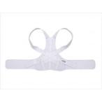 お医者さんのがっちり背すじベルト/-/L-LL AP-202813 アルファックス(wf-281112-2)