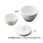 アズワン3-6748-01磁製るつぼ5mL【個】(as1-3-6748-01)