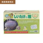 ショッピング販売 【正規販売店】椎茸 種駒 椎茸菌 シイタケ菌 にく丸【400個】森290号｜  森産業 原木栽培 しいたけの種  原木椎茸