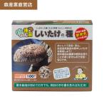 .. вид пешка ...[ стандартный магазин ] шиитаке .... золотой Taro 100 шт лес промышленность . дерево культивирование ..... вид . дерево ..