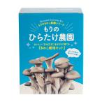 【正規販売店】ひらたけ栽培キット／もりのひらたけ農園 | ヒラタケ栽培キット 家庭菜園 きのこ栽培 キノコ栽培 菌床 国産 食育 きのこ狩り