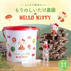 【正規販売店】しいたけ栽培キット／もりのしいたけ農園×HELLO KITTY | 椎茸 シイタケ 家庭菜園 国産 食育 きのこ狩り ハローキティ キティちゃん サンリオ