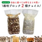 【正規販売店】きのこ栽培ブロック（付属品なし）選べる2個チョイス｜しいたけ菌床 なめこ菌床 えりんぎ菌床 ひらたけ菌床 ぶなしめじ菌床 えのきたけ菌床