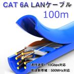 LANケーブル 100m CAT 6A 10Gbps 500MHz 光回線対応 超高速通信 ルーター パソコン プリンター 防犯カメラネットワーク工事 業務用 プロ WiFi 接続機器