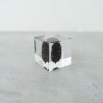  заяц nonedoko*Sola cube* интерьер искусство растения маленький космос акрил [ керамика ](wa23-2505-5)[70F52]