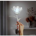 FINAL FANTASY XIV ファ