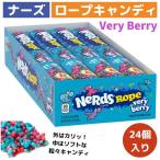 ショッピング地球グミ ナーズロープキャンディ 24個 Nerds Rope, Very Berry Candy　ベリーベリーキャンディ　ロープグミ　NerdsRope