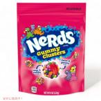 Nerds ナーズ グミ クラスター 226g Gumm