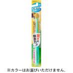 プレミアムケア 高歯垢除去 6列超コンパクト ふつう　納期1週間程度　