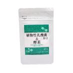 (パウチタイプ)植物性乳酸菌 K-2&酵素 60粒 芳香園製薬 メール便対応