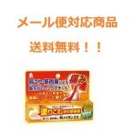 新ノイガンエス　２５ｇ　湧永製薬　第３類医薬品　メール便対応商品　送料無料！　代引き・配達日付指定不可