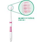 �ե�å���ϥ֥饷M���åȡ�������