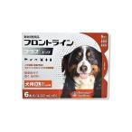 【動物用医薬品】フロントラインプラスドッグ 犬用 XL 40〜60kg未満 6本入