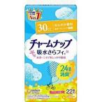 チャームナップ 安心の少量用 22枚
