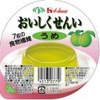 ハウス食品株式会社 おいしくせんい うめ 61g＜美味しく繊維　梅＞× 60個セット 【JAPITALFOODS】
