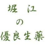 ポイント8倍相当 堀江生薬 アシタバ末(明日葉・あしたば・別名：俗名：ハチジョウソウ (八丈草))(末・化粧箱入)500g