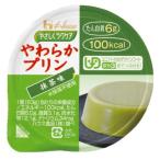 ハウス食品株式会社 やさしくラクケア やわらかプリン 抹茶味 63g×48個入 【発送まで7-10日程】【キャンセル不可】【△】