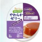 ハウス食品株式会社 やさしくラクケア やわらかゼリー みたらし団子味 66g×48個入【CPT】