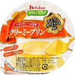 ハウス食品株式会社 やさしくラクケア クリーミープリン マンゴーチーズケーキ風味 63g×48個セット(6-10日程度で発送)(キャンセル不可)