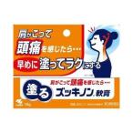 その他肩こり、腰痛、筋肉痛薬