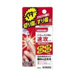 【第2類医薬品】森下仁丹株式会社 メディケア サイレンQ 10ml 【北海道・沖縄は別途送料必要】